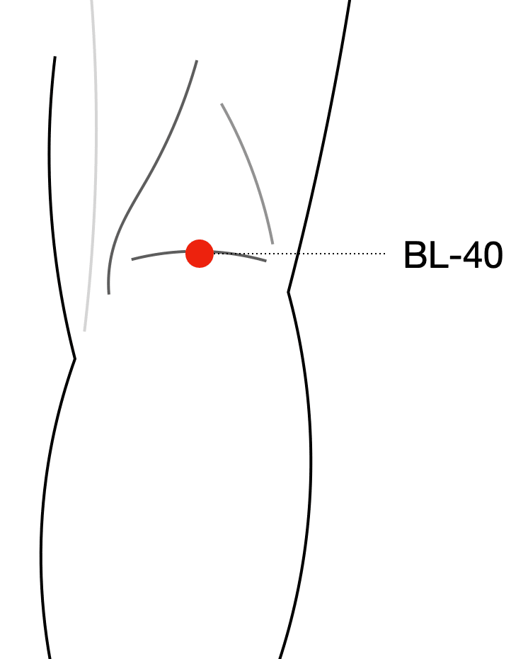 BL-40 Acupuncture Point