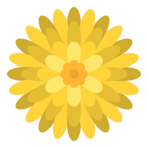 chrysanthemum flower