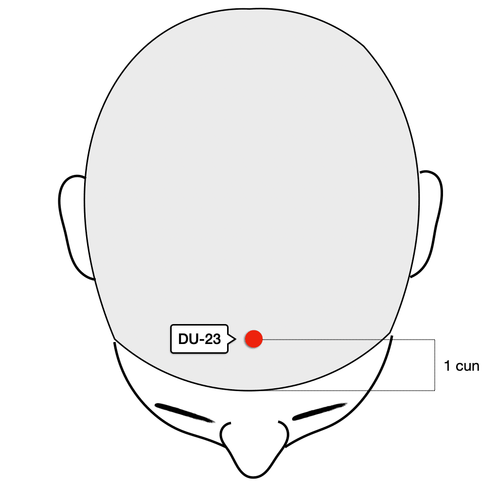 DU-23 Acupuncture Point