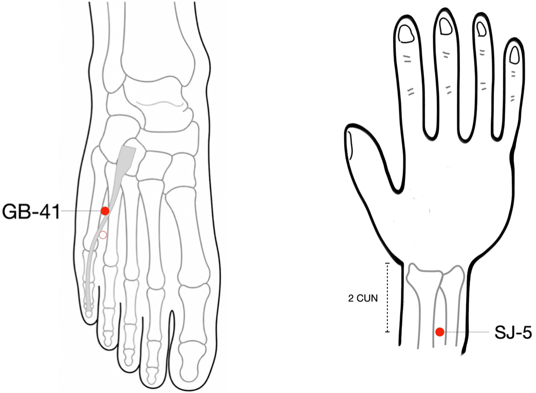 Point location diagram: GB-41 on the foot and SJ-5 on the forearm (2 cun)