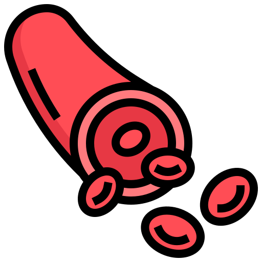 blood-vessel