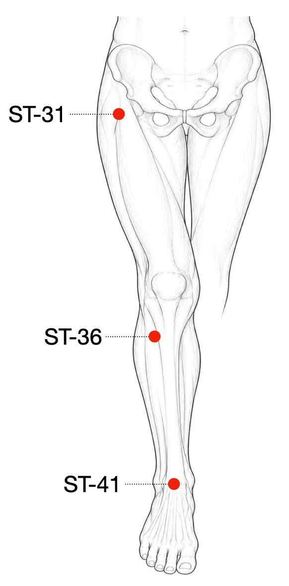 Leg diagram with ST-31, ST-36, and ST-41 marked along the Stomach channel